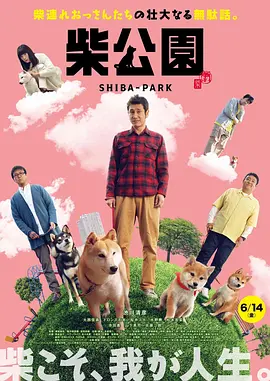 添望微博车道具