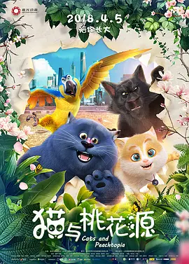 爆操视频
