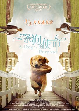 国产成人精品第一区二区