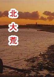 日韩激情免费视频